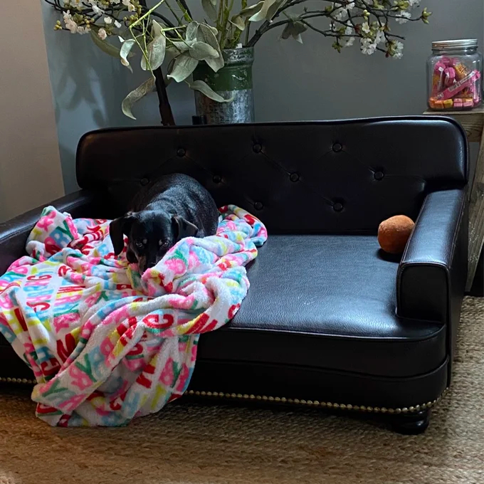 Humphery Dog Sofa