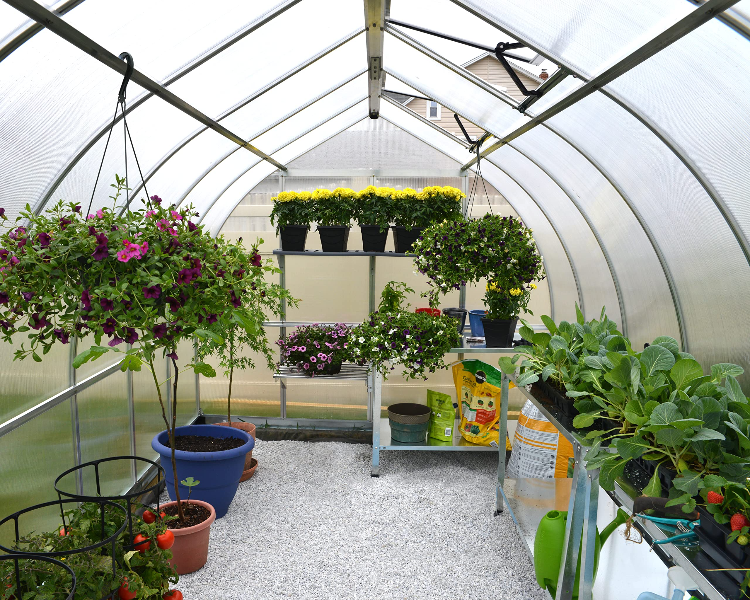 Bella Hobby Greenhouse, Silver with Twin Wall Glazing