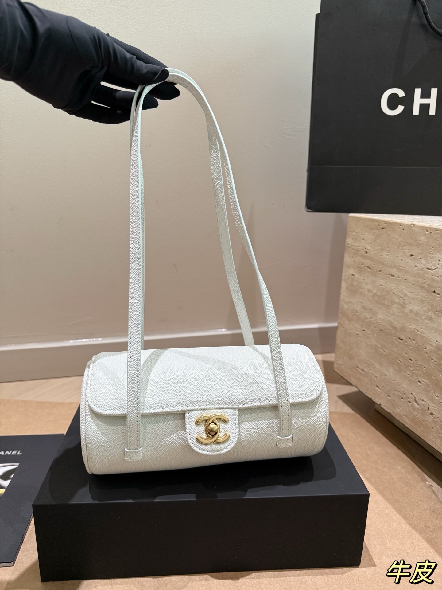 Chanel 26p preppy coco mini bag