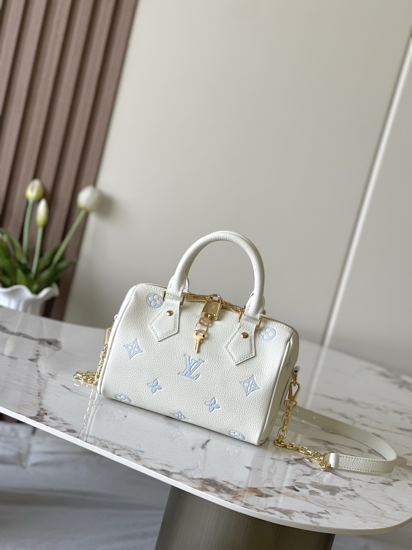 LV Nano Speedy bag