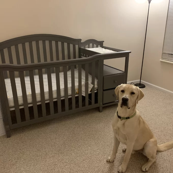 Berkley 4-in-1 Convertible Crib and Changer