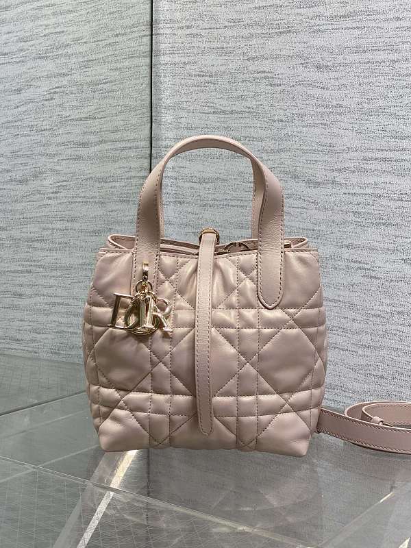 Dior Toujours Vertical Tote Bag Small Pearl Pink Leather