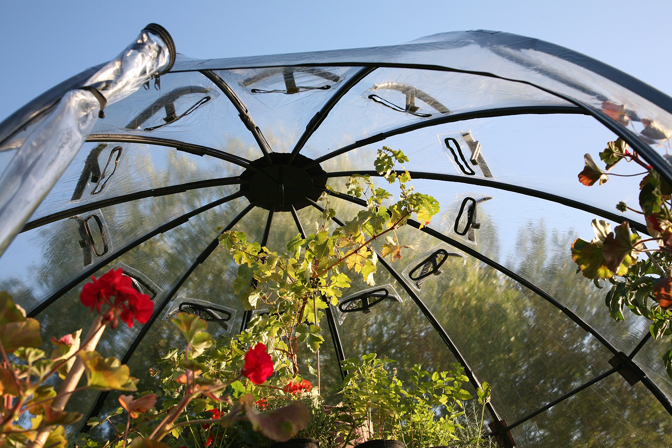 Haxnicks Garden Sunbubble Portable Greenhouse