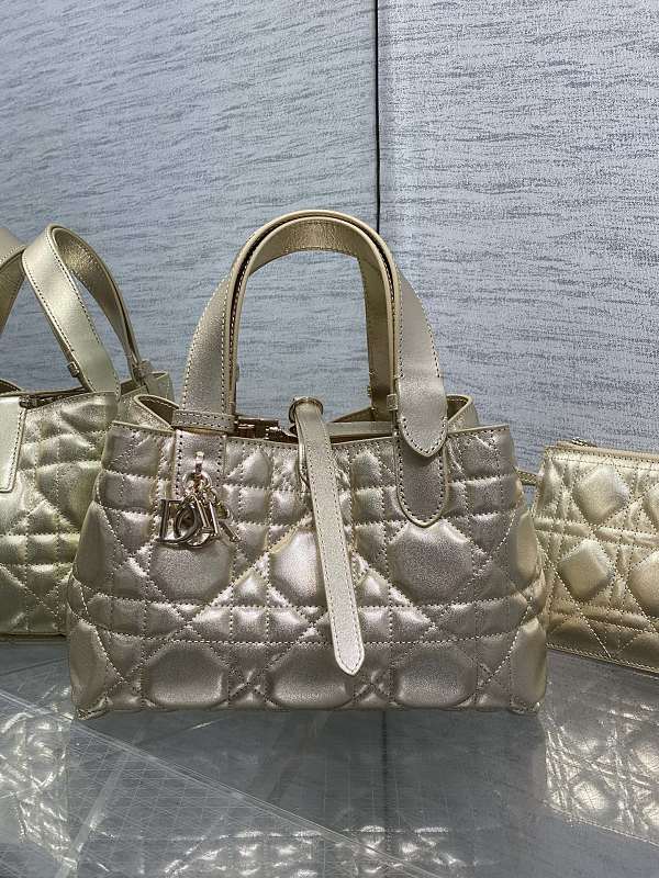 Dior Toujours Tote Bag Small Champagne Patent