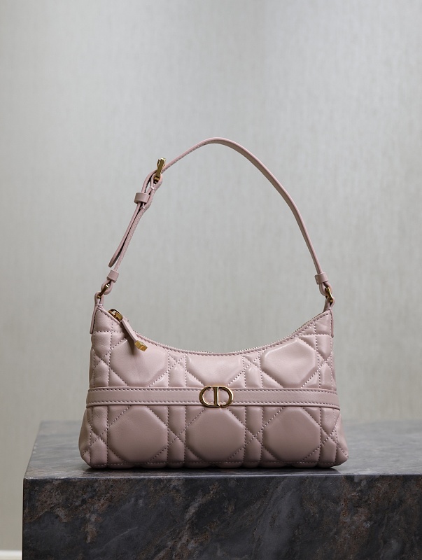 Dior Caro Hobo Bag