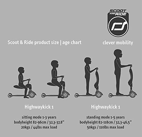 Children Adjustable Seated or Standing 2-in-1 Scooter Including