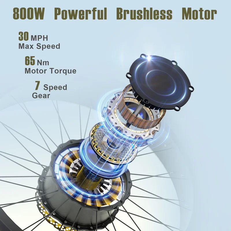 20in Fat Tire Electric Bike, 800W, 48V 32Ah, Two Seats