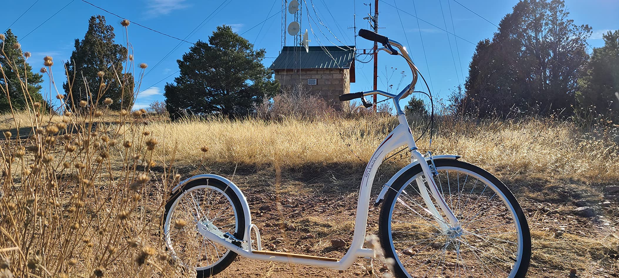 Adult Scooter
