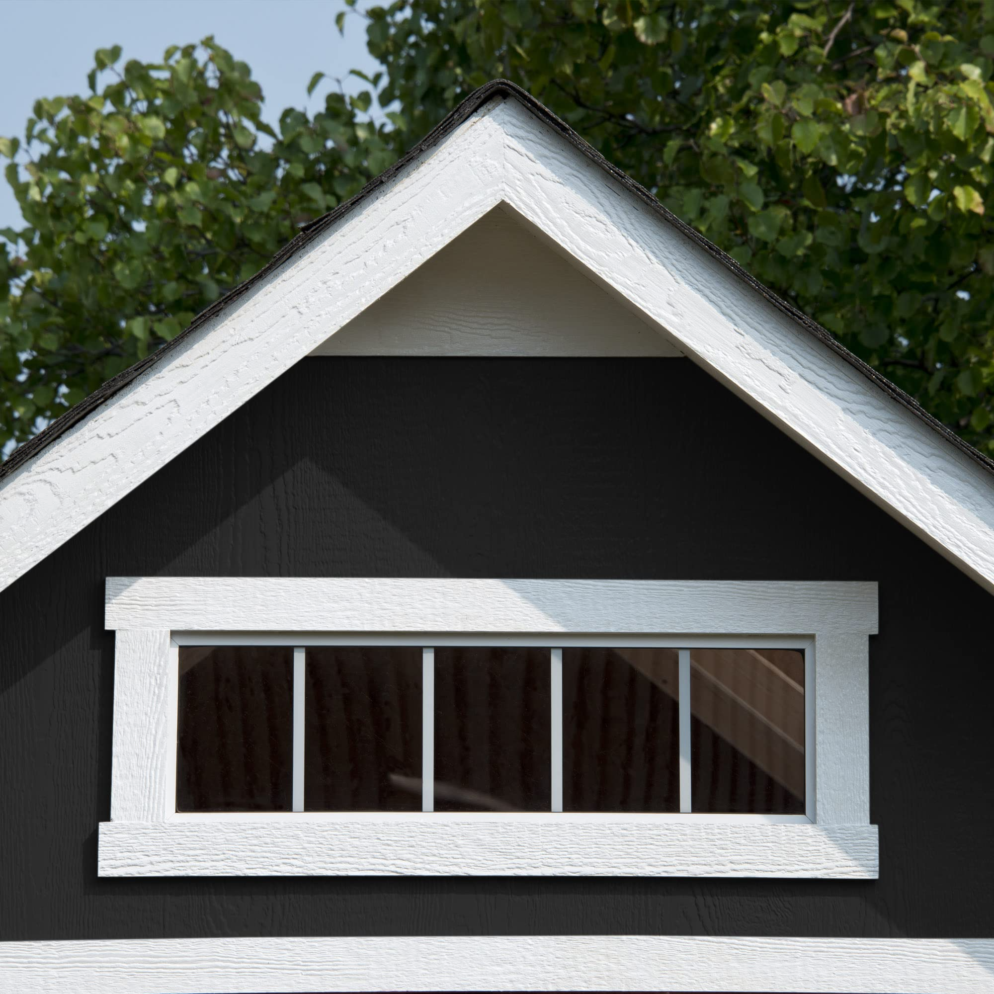 Trident 8x12 Do-it-Yourself Wooden Storage Shed