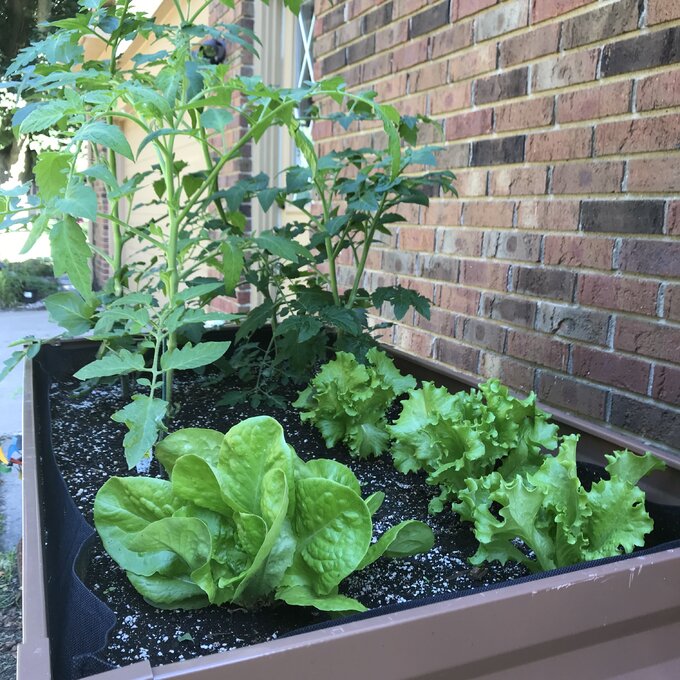 Makenna Steel Elevated Planter