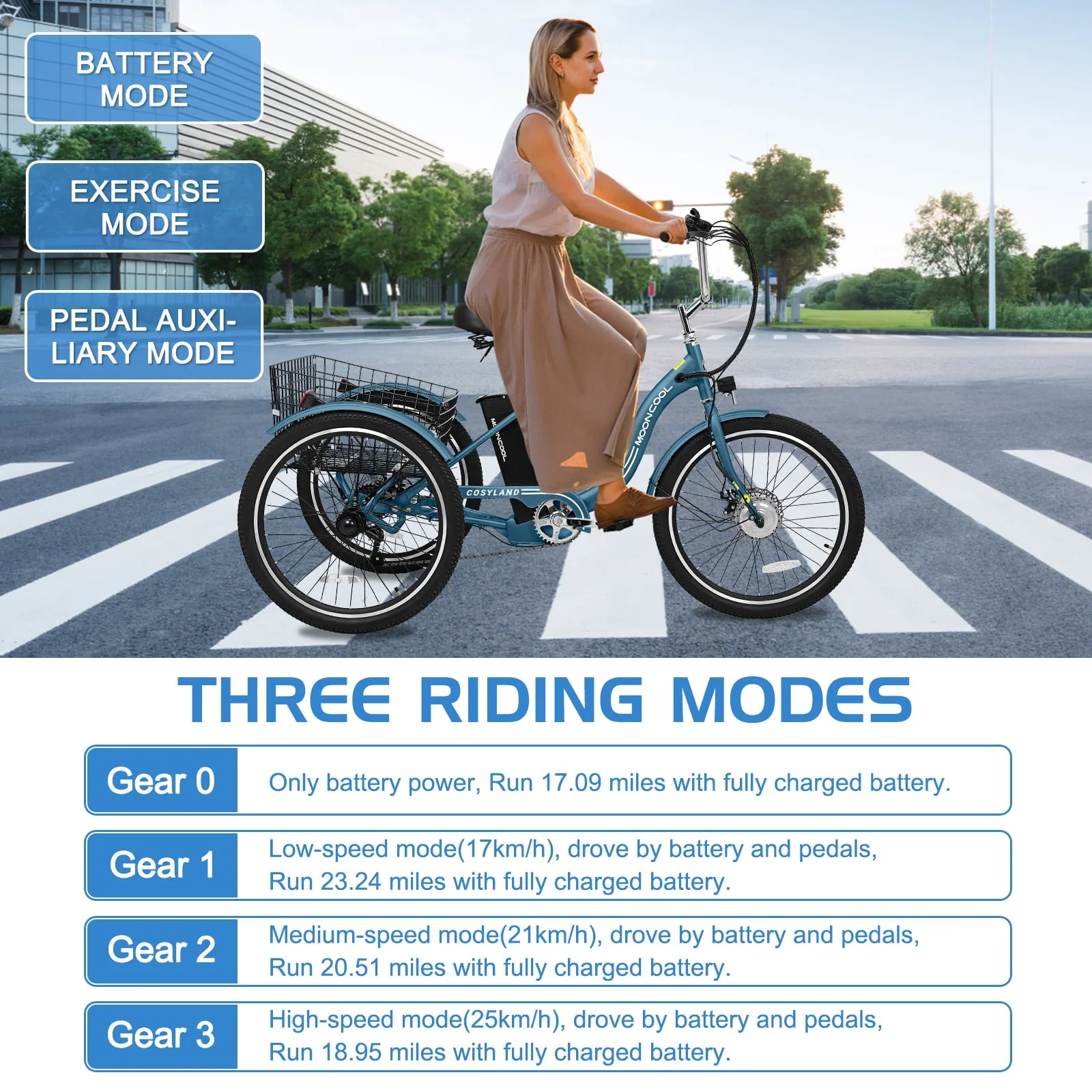 Lilypelle 24in 3-Wheel Electric Tricycle, 350W, 36V 10.4Ah