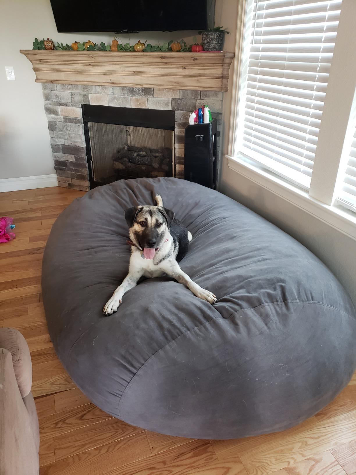 Sofa Sack - Plush Bean Bag Sofas with Super Soft Microsuede