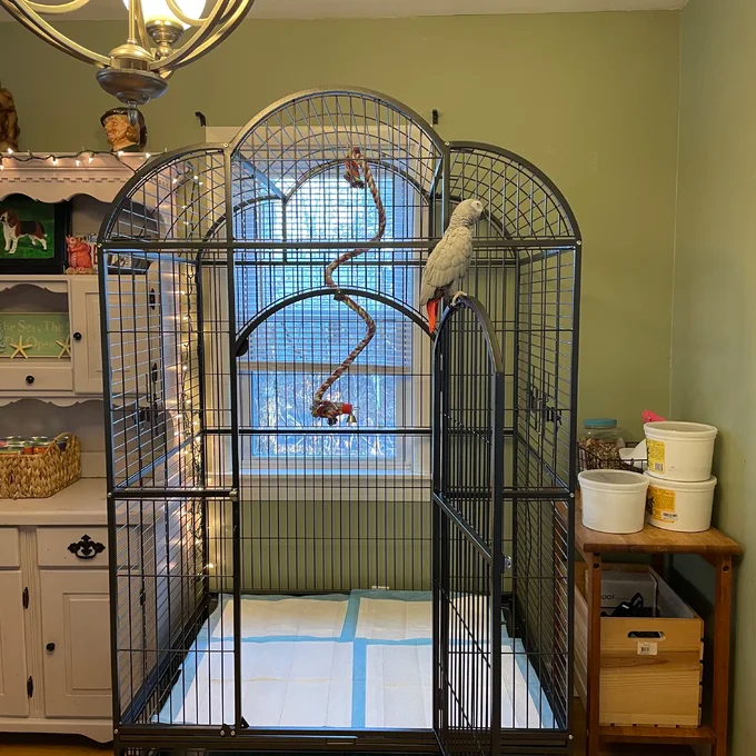 Backes 78.25'' Steel Victorian Top Floor Bird Cage with Wheels