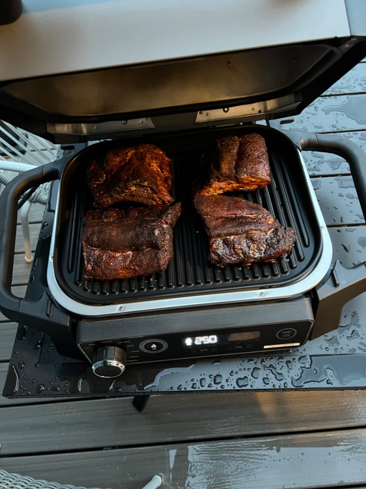 Ninja OG701 Woodfire Grill