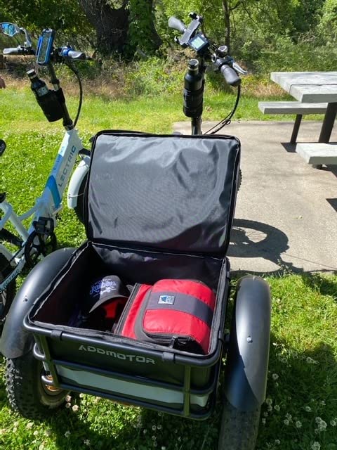 Motan Electric Tricycle for Adults
