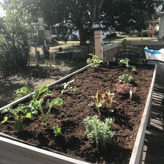 Wood Elevated Planter