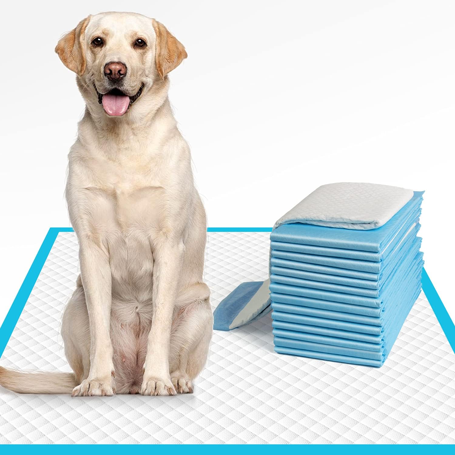 Pet pee pads