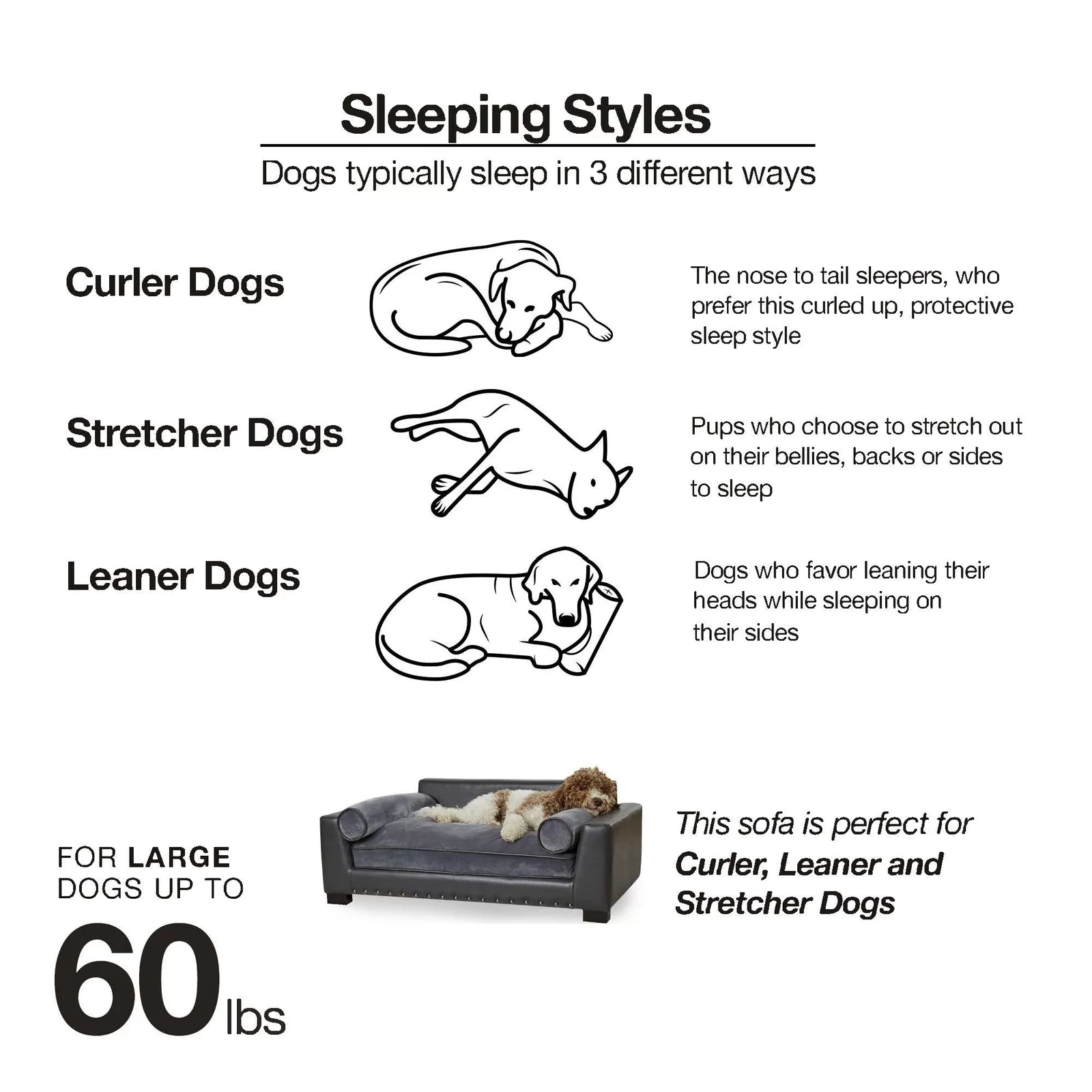 Oberle Dog Sofa