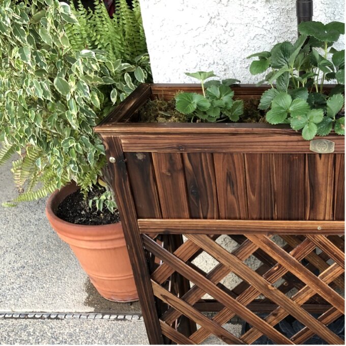 Peyton Wood Elevated Planter