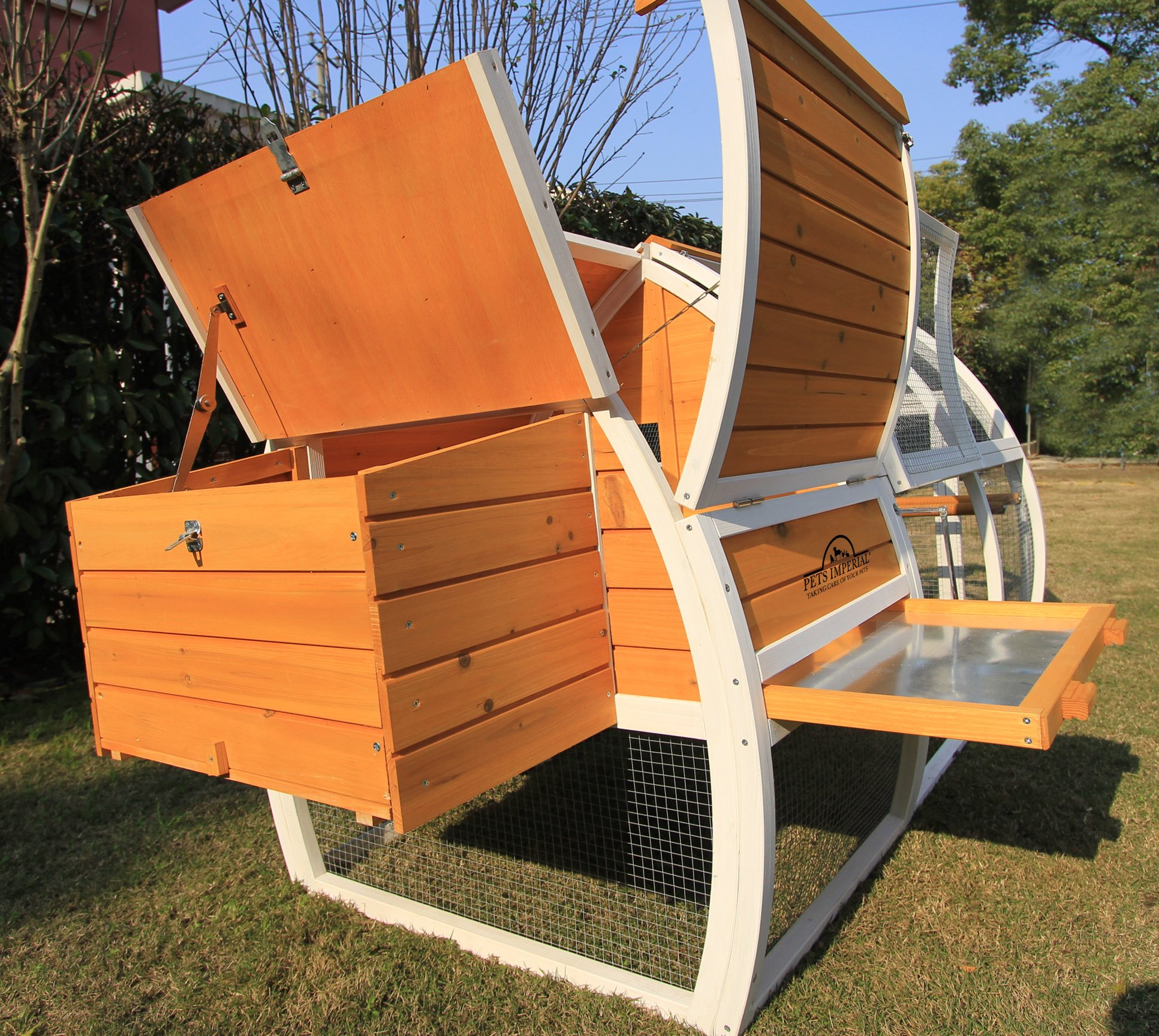Chicken Coop Chickn House with Sliding Tray & Opening Roof
