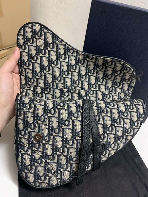 Dior Saddle Pouch
