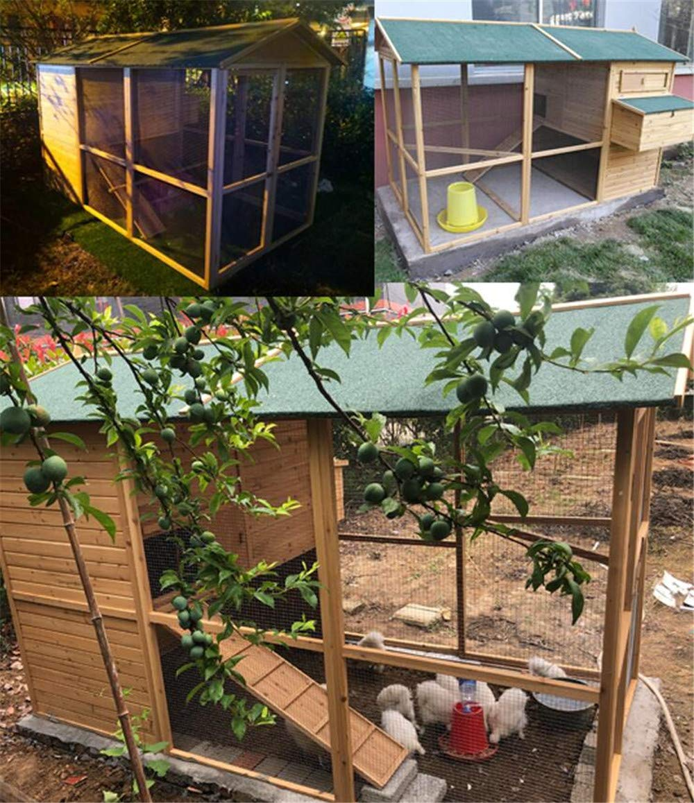 Large Size Fir Wooden Waterproof Roof Green Chicken Coops