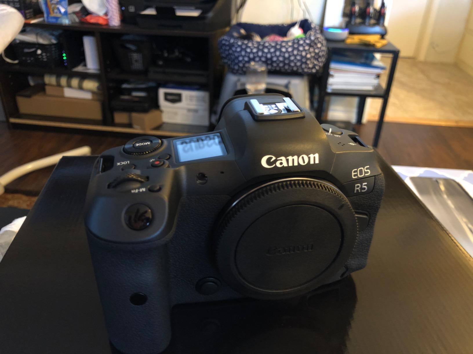 Canon EOS R5 Full-Frame Mirrorless Camera w/ RF24-105mm F4 L is