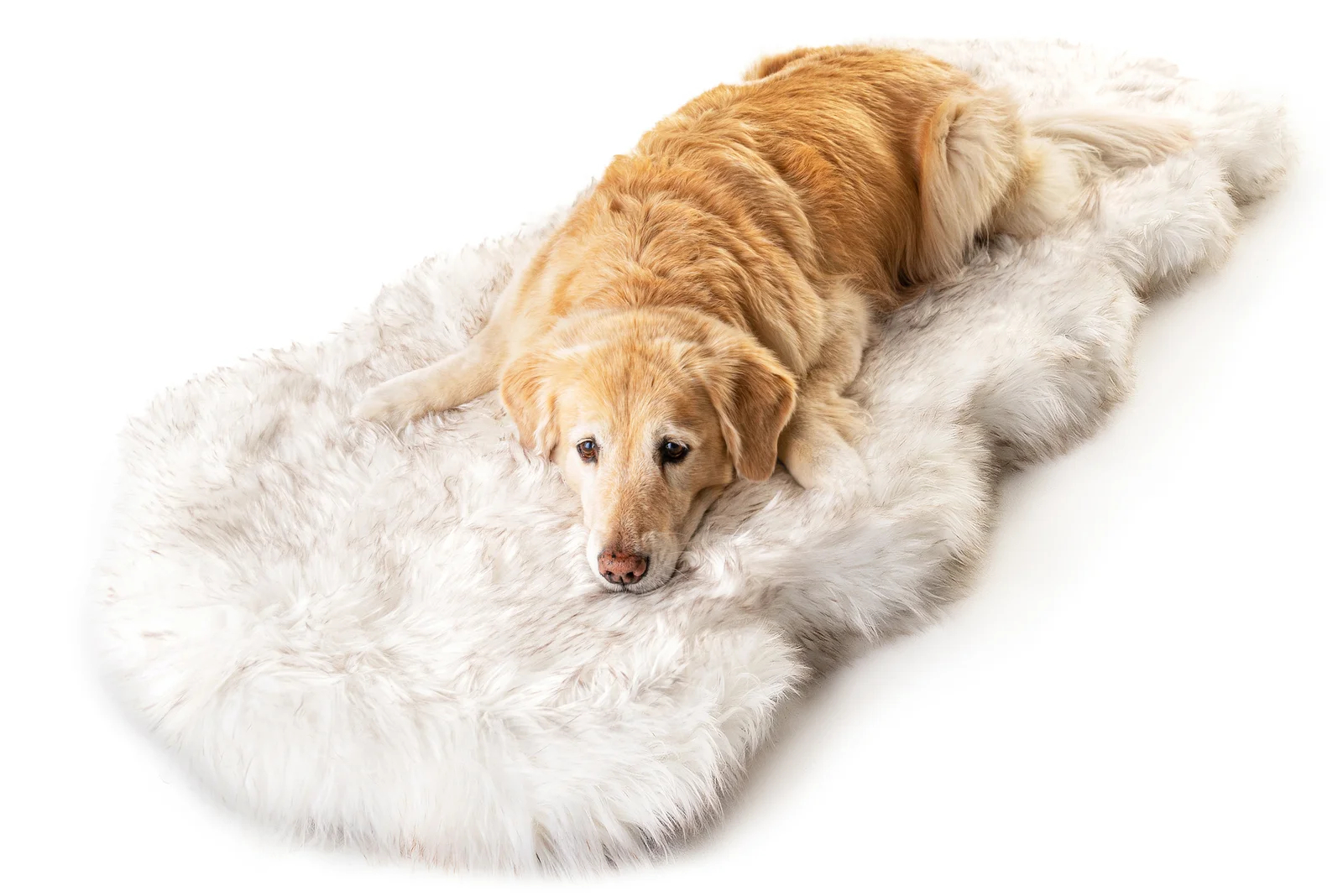 Pretor Puprug Runner Faux Fur Memory Foam Dog Curve Mat