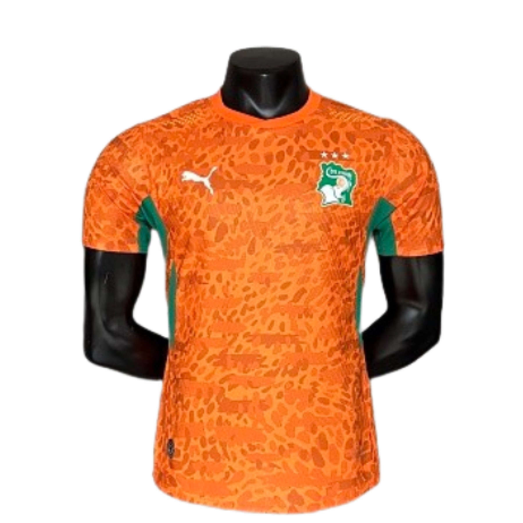 2026 Player Version Ivory Coast Jersey