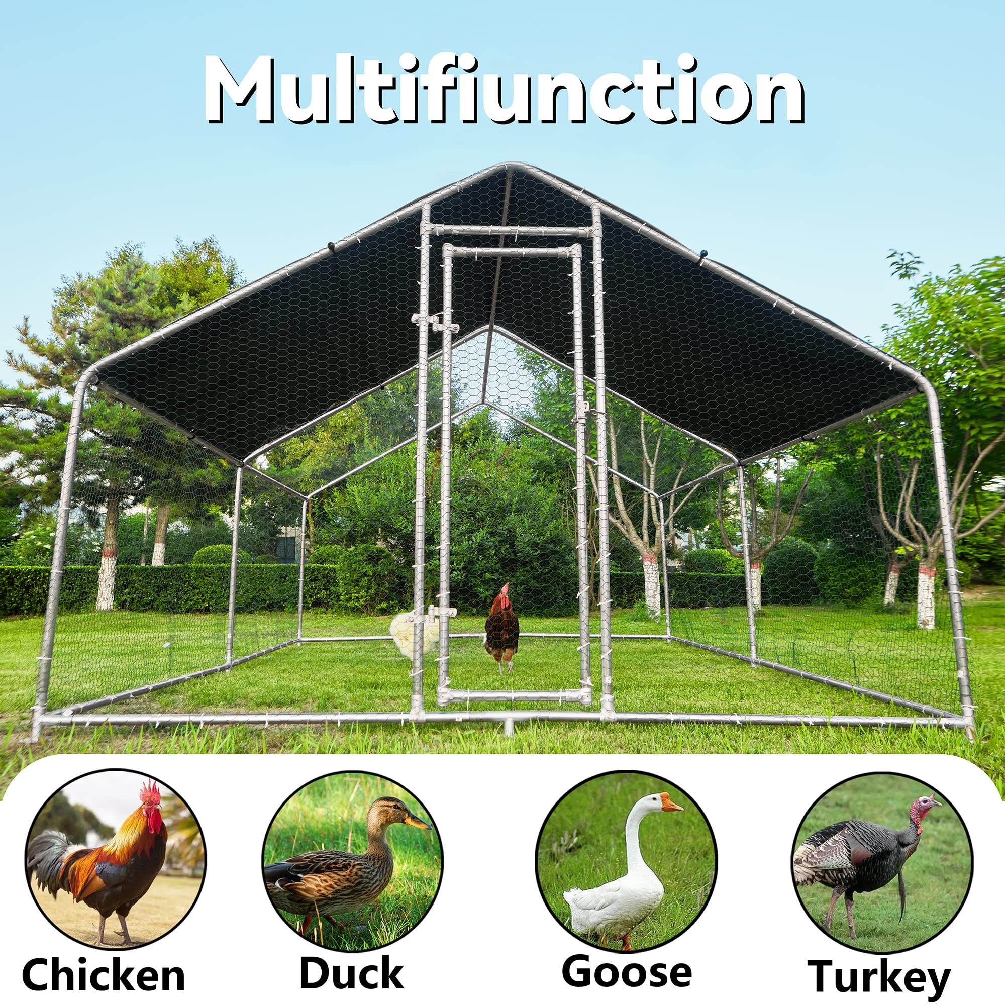 Large Metal Chicken Coops for 10 Chickens for Protection &