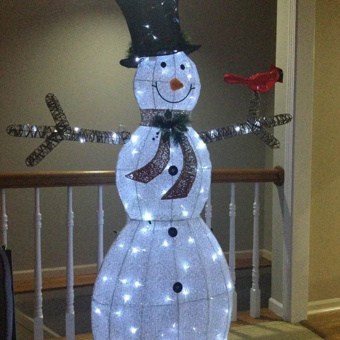 Snowman Lighted Display