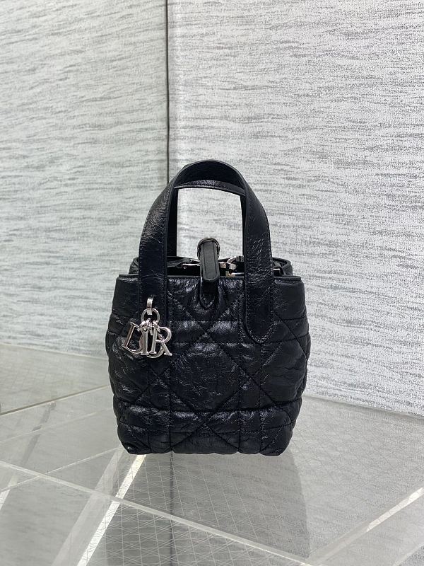 Dior Toujours Vertical Tote Bag Mini Black Silver Waxed Leather