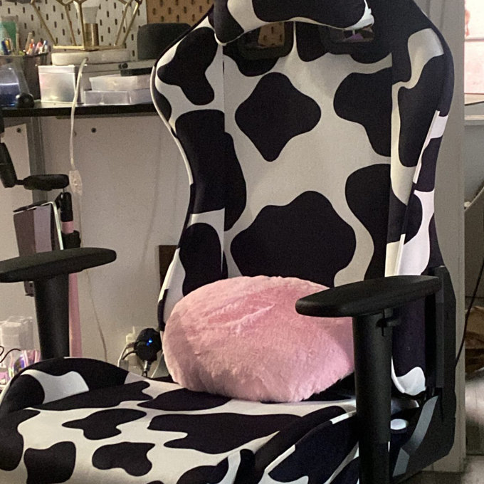 PC & Racing Gaming Chair