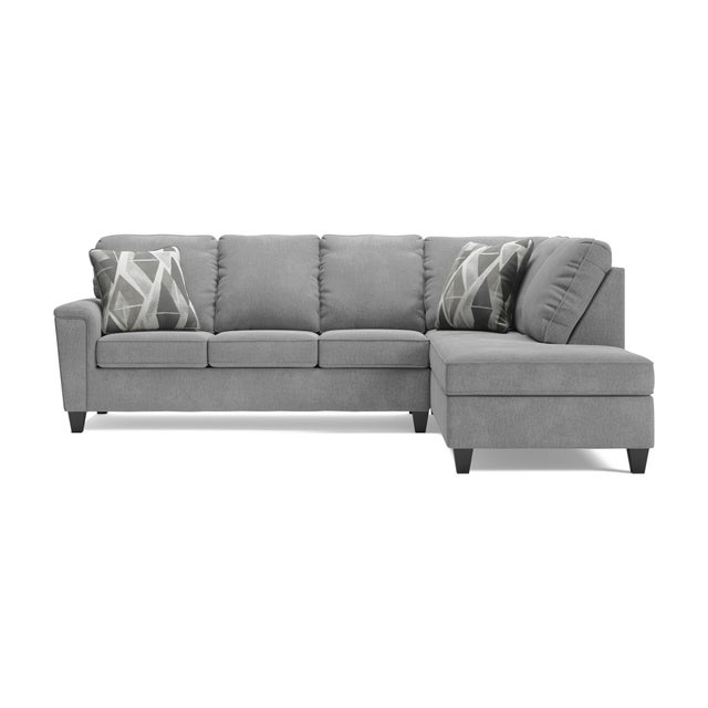 Leeshan 2-Piece Sectional with Chaise