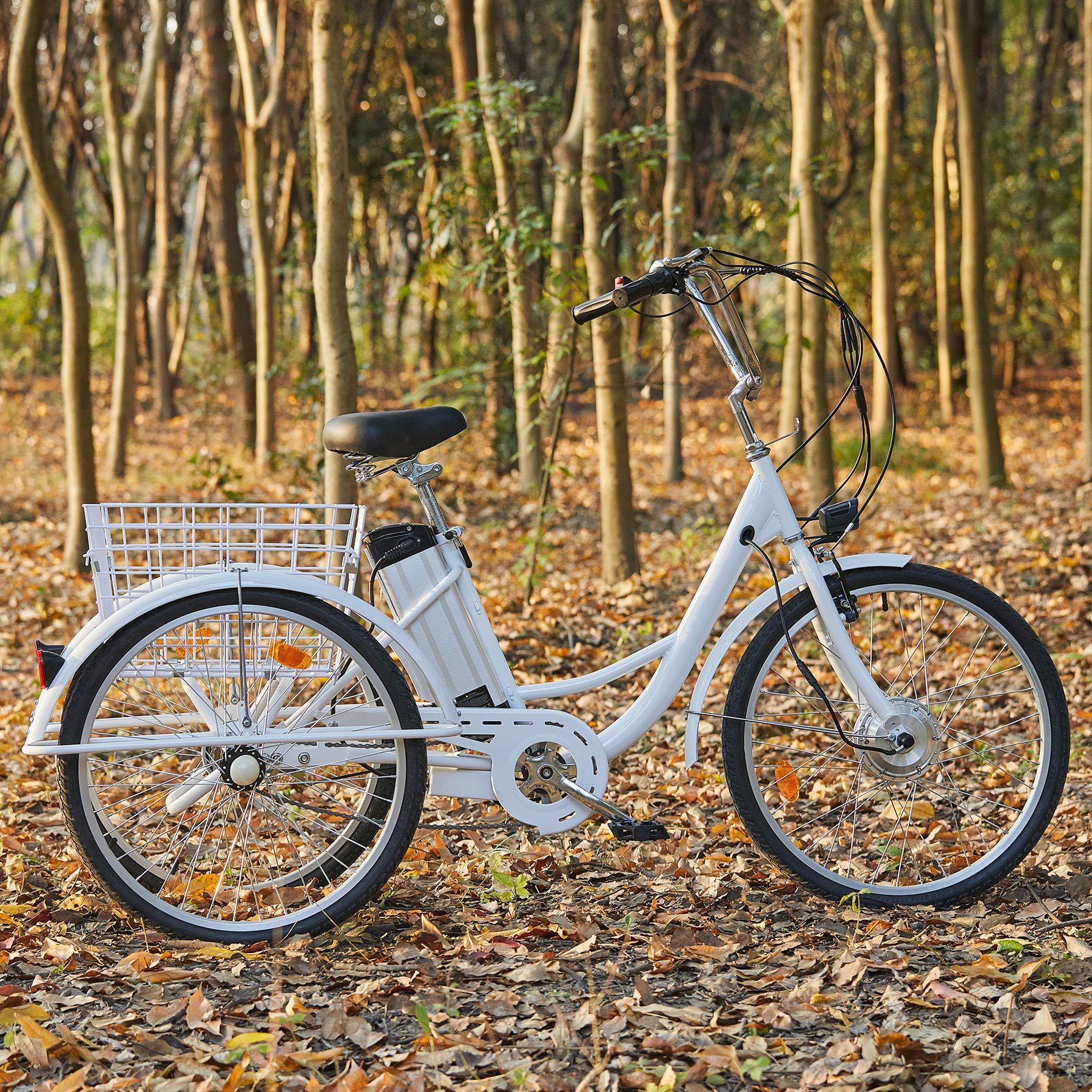 3 Wheel Electric Bike for Adults with 250w Motor