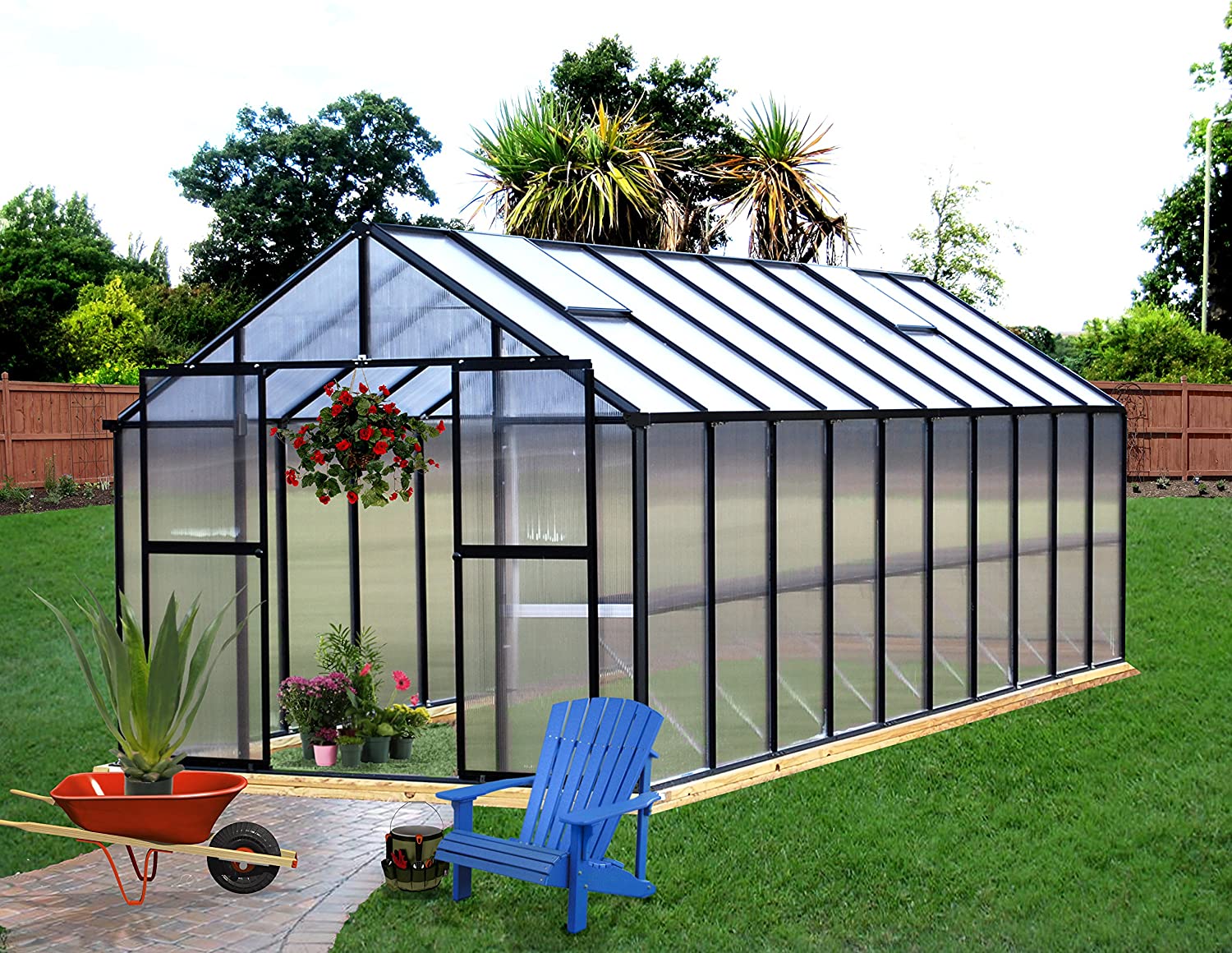 Greenhouse, Black