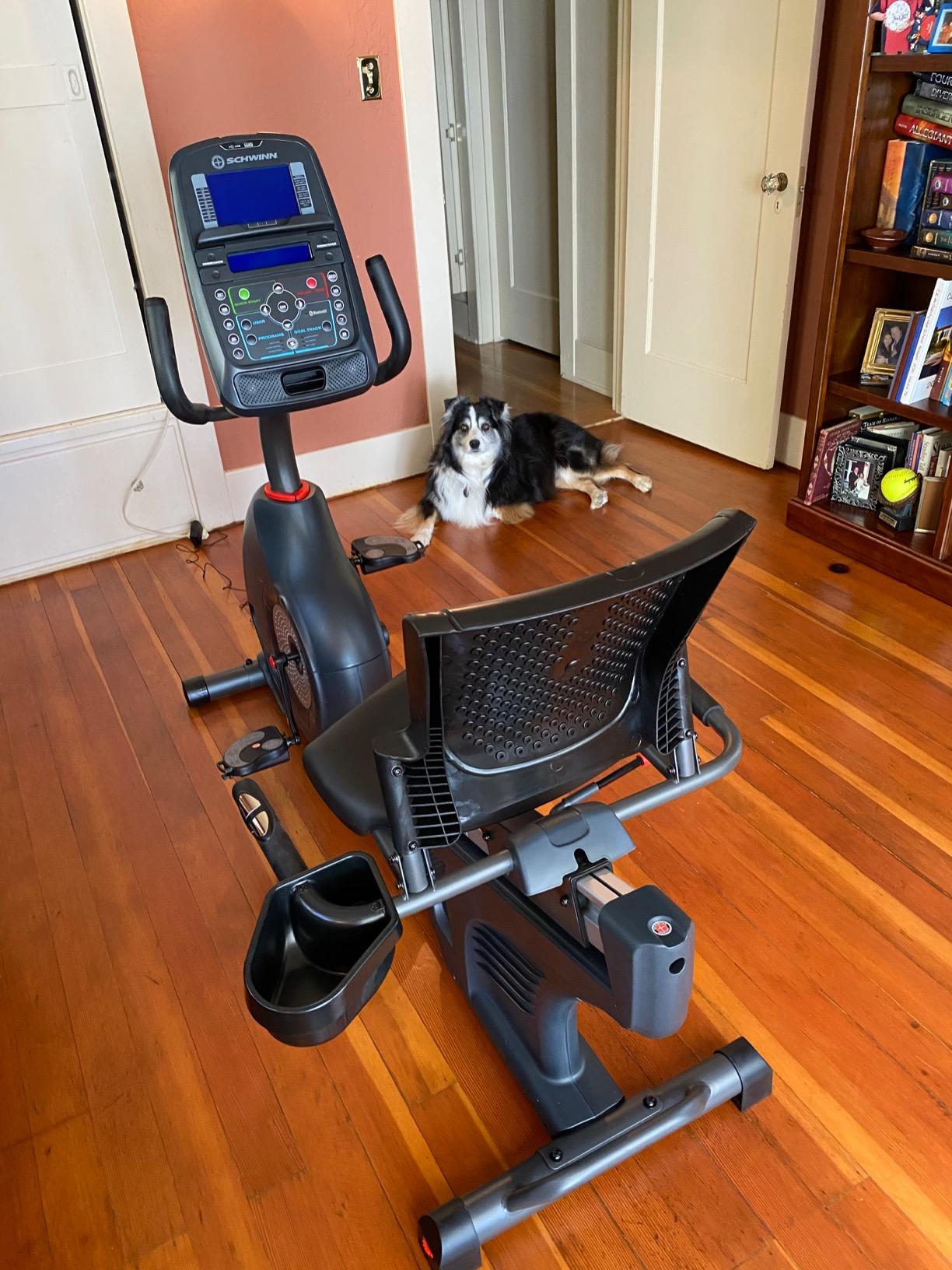 Schwinn Recumbent Bike Series