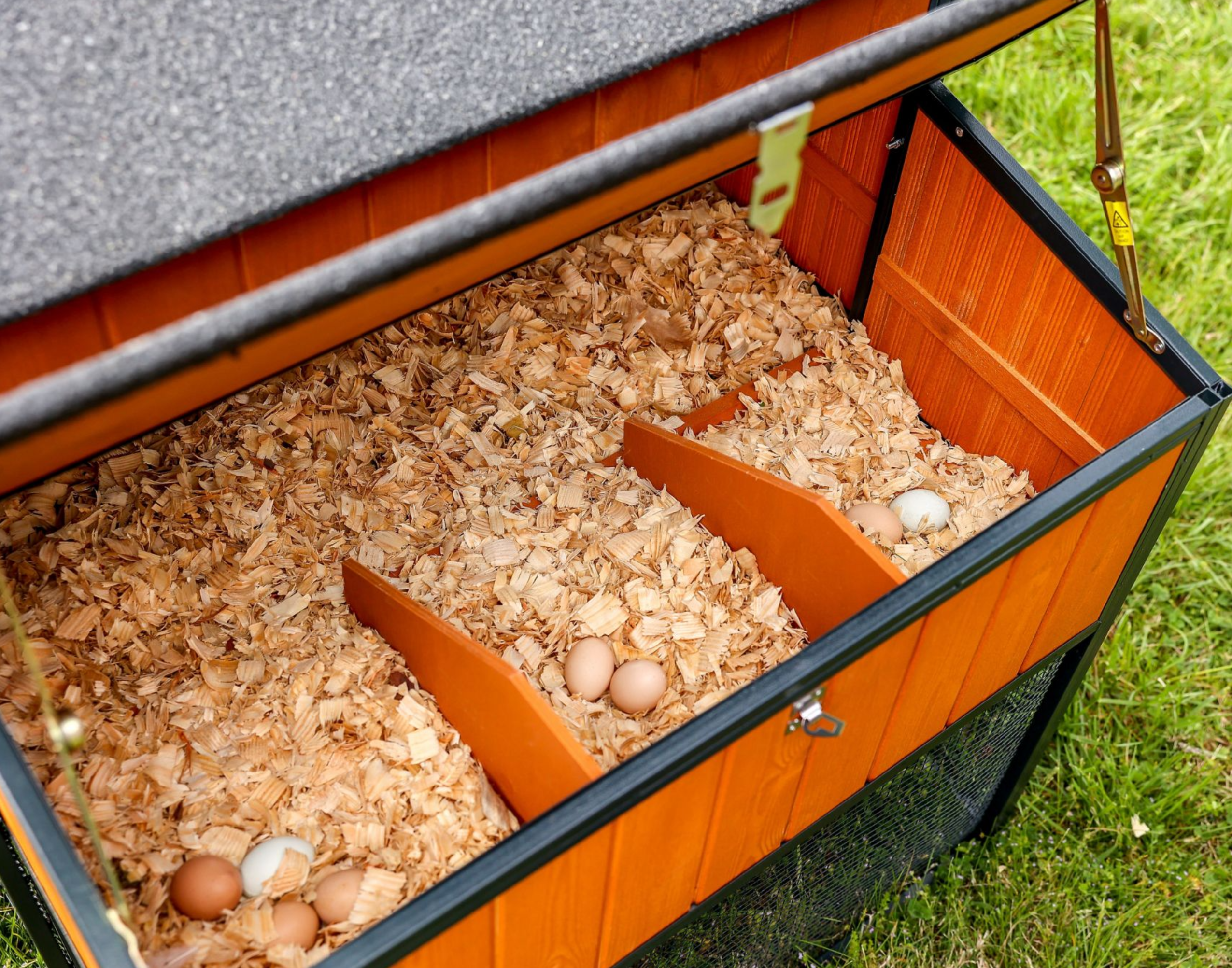 Walk-in windproof chicken coop