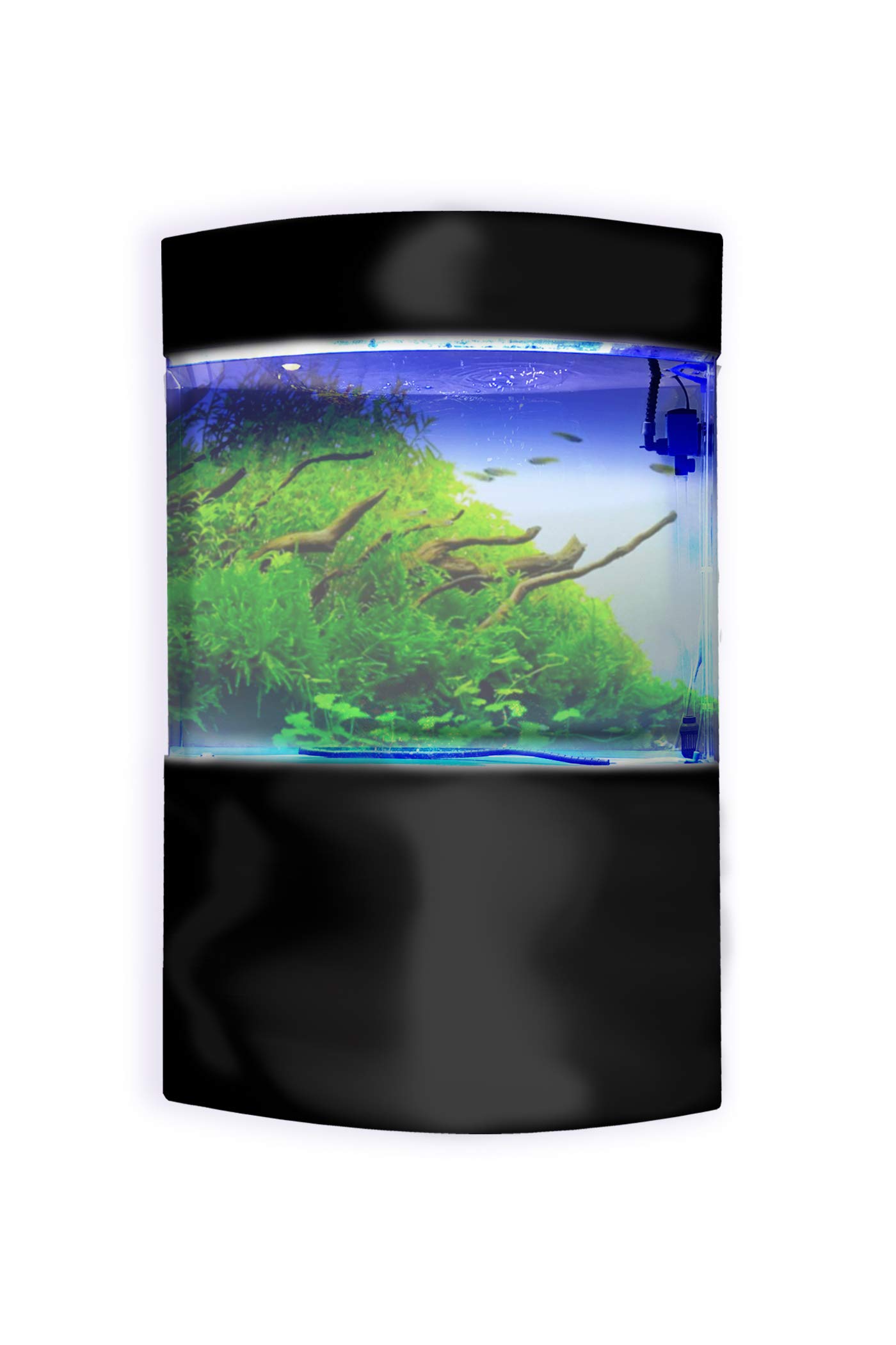 Water World Luxury Large Bow Front Acrylic Aquarium with