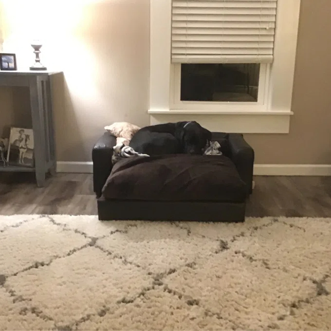 Kayenta Premium Dog Sofa