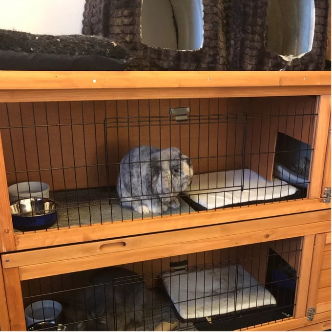 Griffen Weather Resistant Hutch