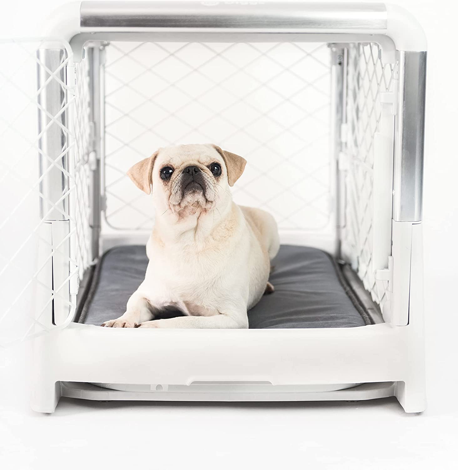 Revol Dog Crate (Collapsible Portable Travel Dog Crate