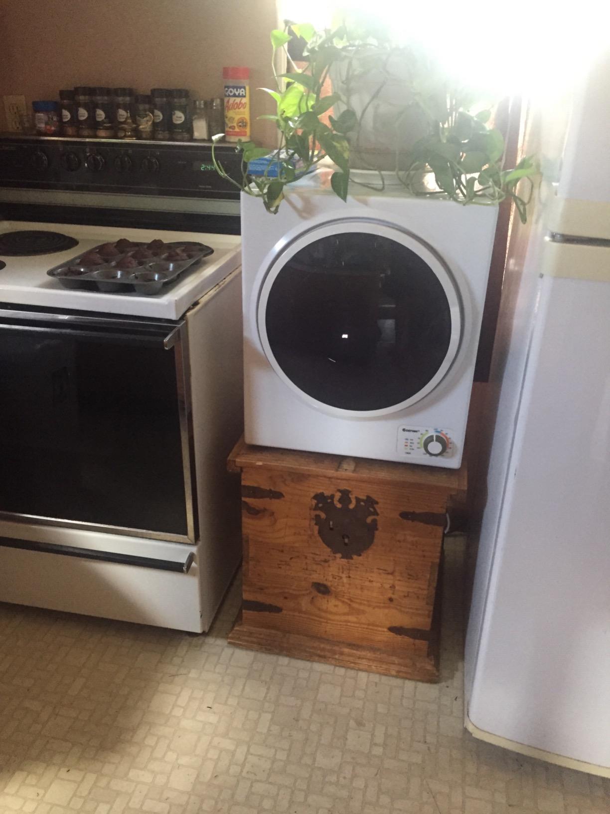 COSTWAY Compact Laundry Dryer