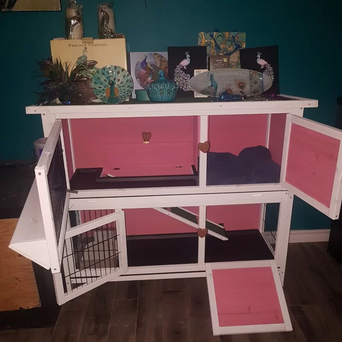 Handler Weather Resistant Small Animal Hutch with Ramp