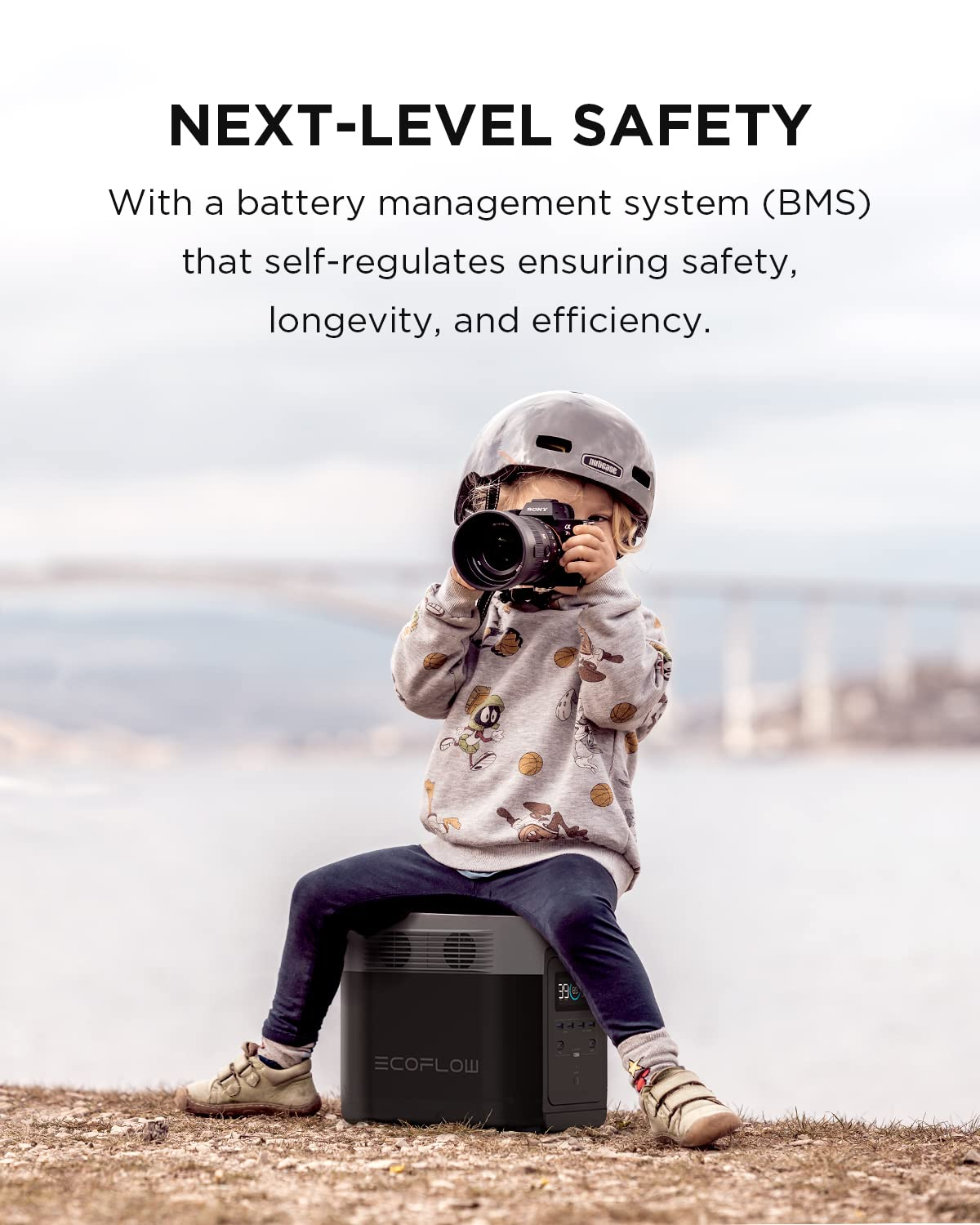 EF ECOFLOW Portable Power Station DELTA