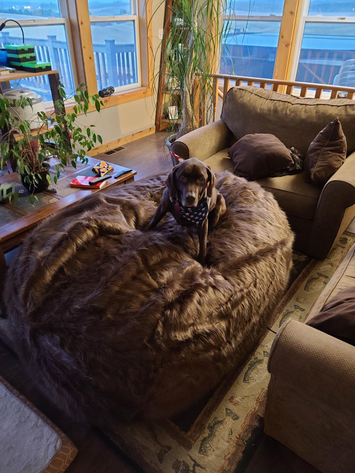 Comfy Sacks Memory Foam Bean Bag Chair