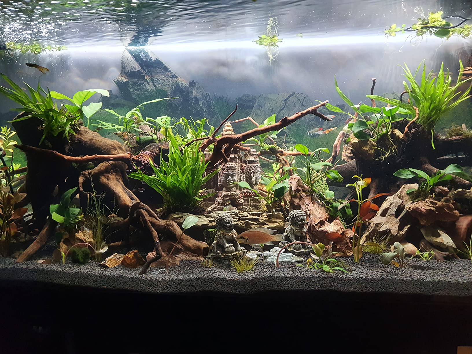 AQUARIUM WITH LID & STAND / CABINET Professional Fish Tank