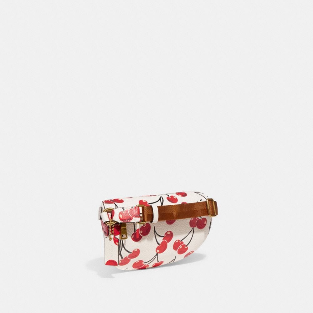 COAthtCH Classic handbags