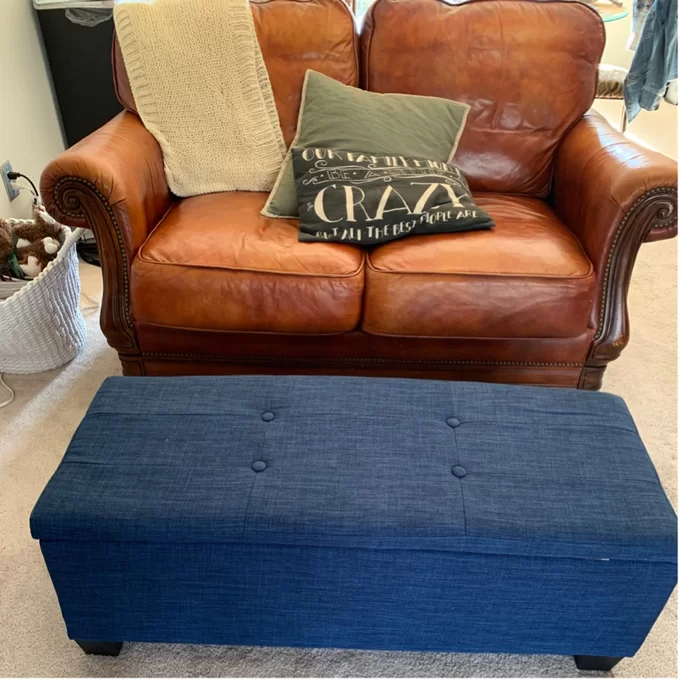 Edyth Upholstered Storage Ottoman