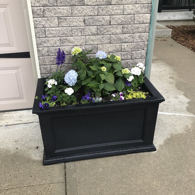 Anastasiya Self Watering Plastic Planter Box
